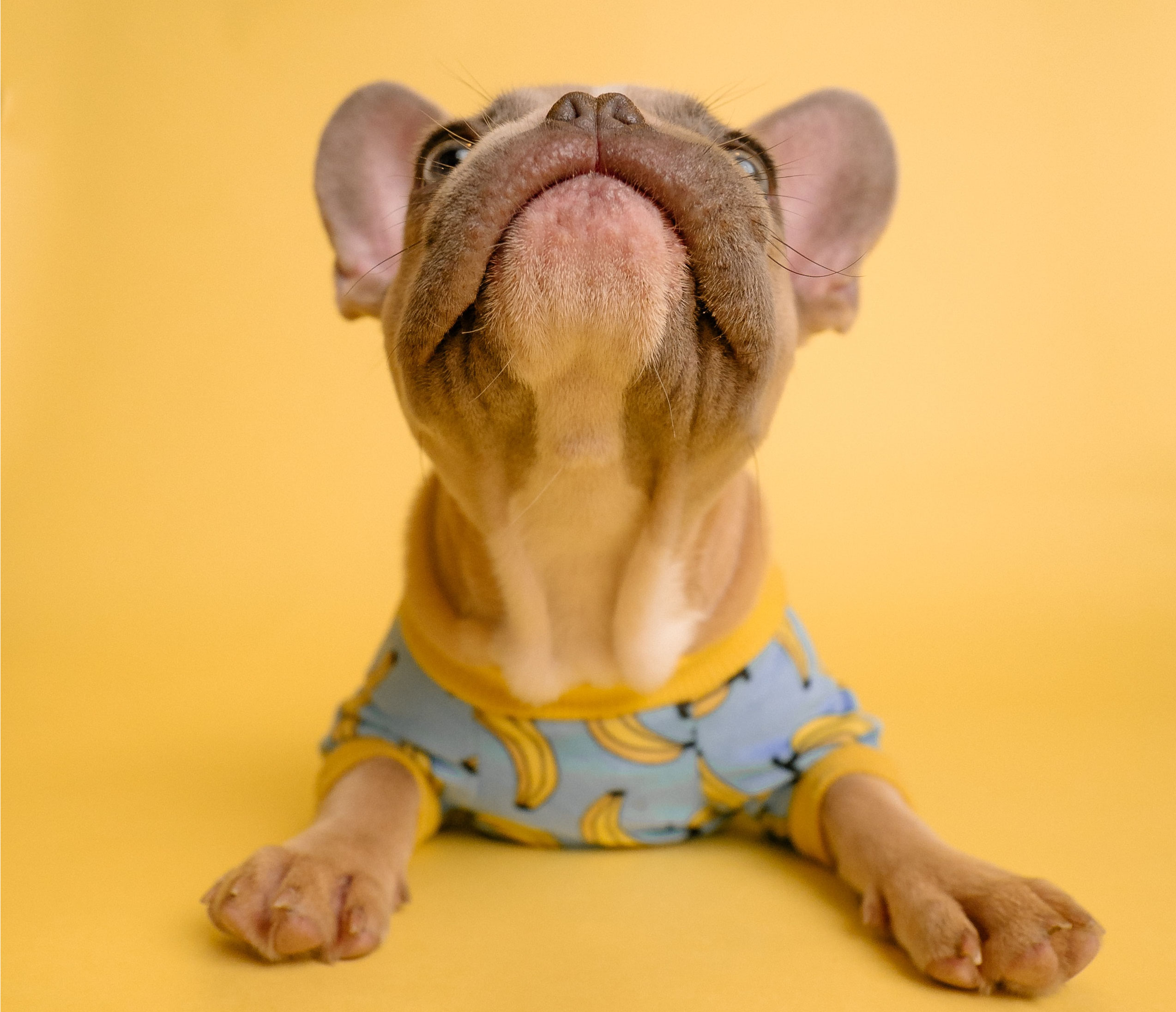 karsten-winegeart-I0eGtwOcprA-unsplash Employee Benefits Vanilla Recruitment